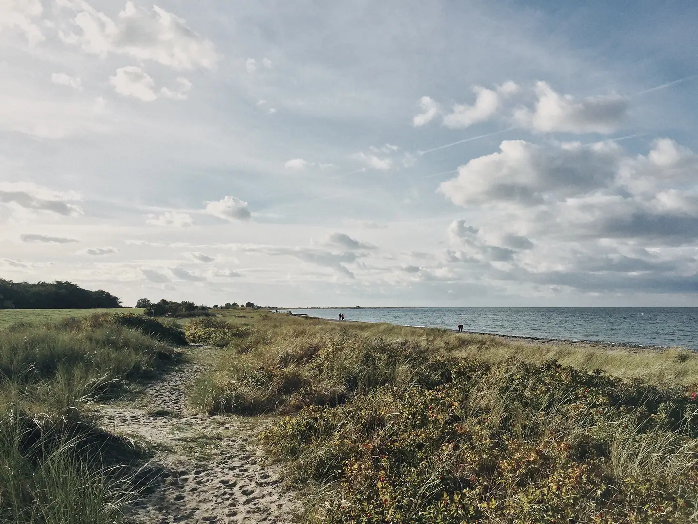 Weite Küstenlandschaft mit Panoramablick über die Ostsee