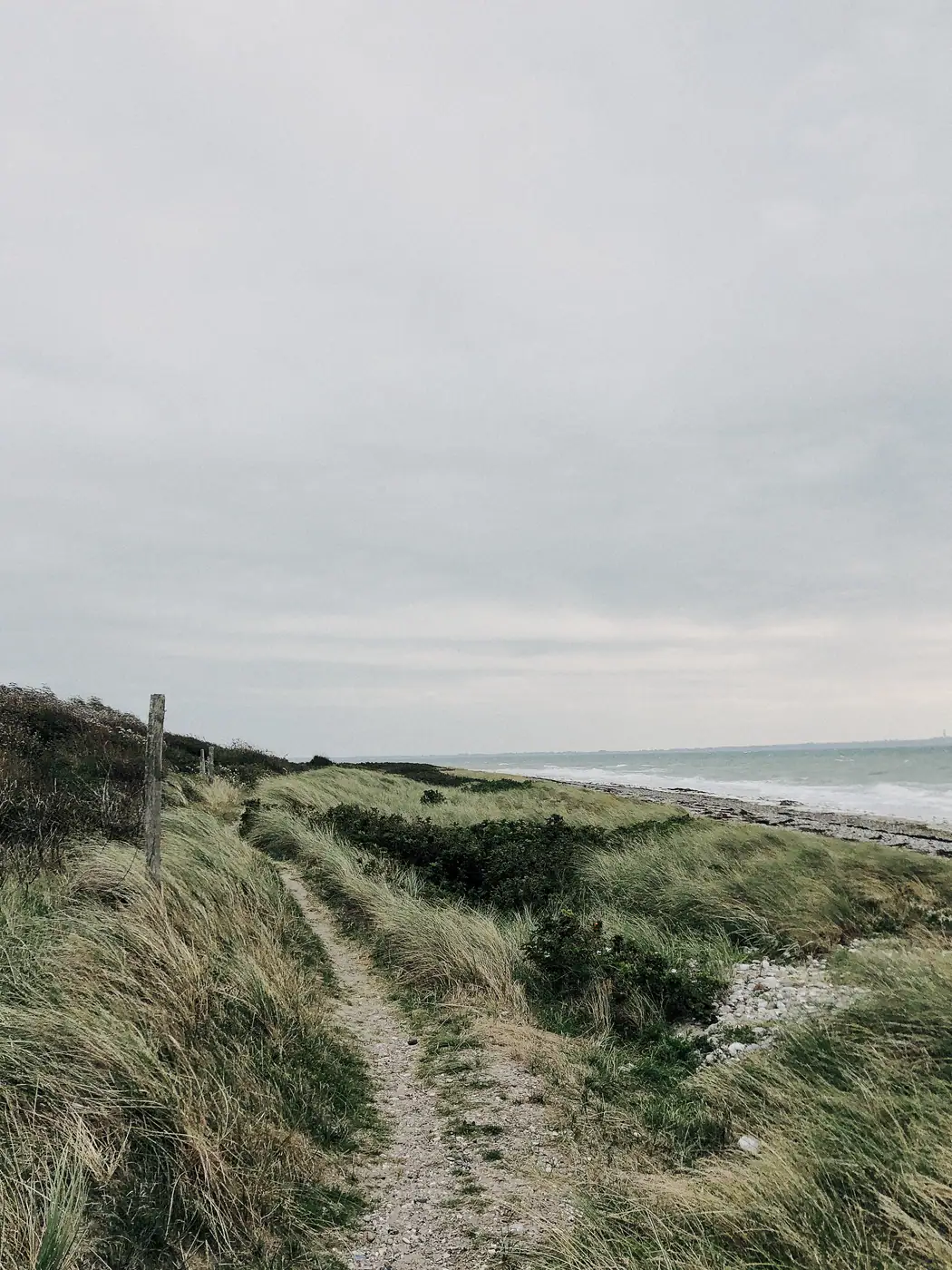 Dünenlandschaft im Norden Fehmarns