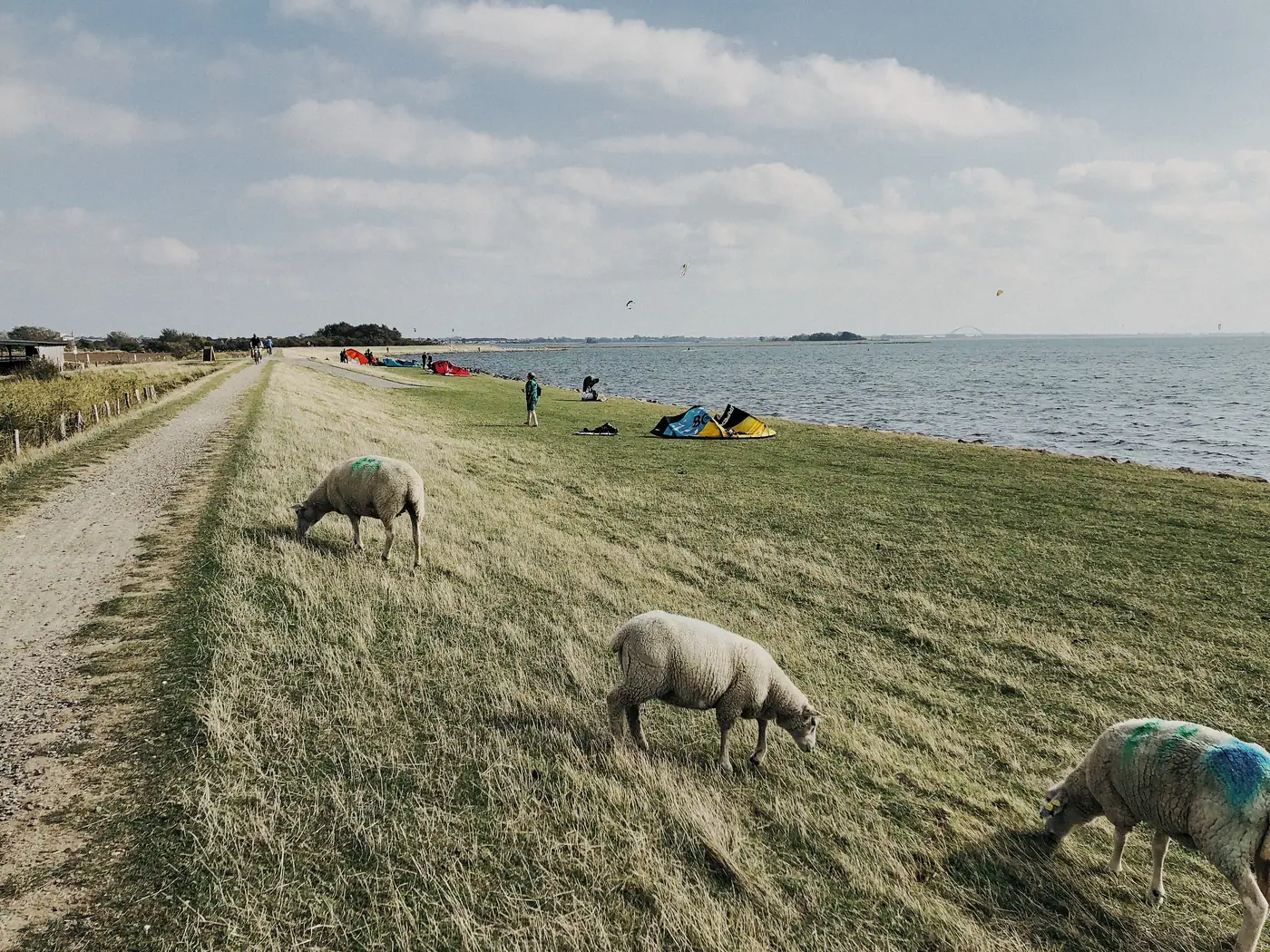 Deichweg entlang der Küste