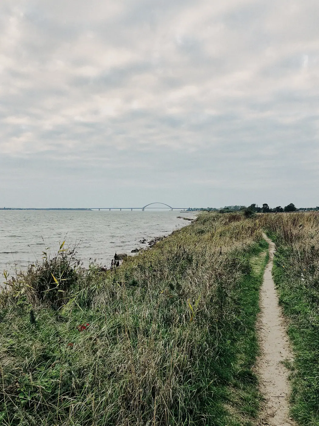 Holzbrücke auf dem Küstenweg, Hochformat